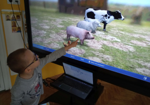 Chłopiec pełniący funkcję prawej ręki wskazuje na monitorze interaktywnym zwierzęta.